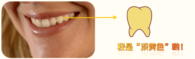 1a06034f-9e92-4a53-8a73-09770f36ae9a.png