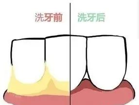 公众号图.png