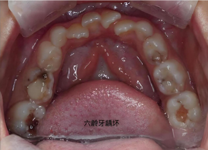 6f8e06da-60a2-42a8-a925-c2cf9ca8d082.png