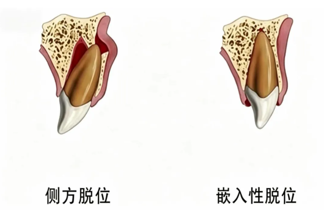088ed85d-c38f-4515-89e9-a6974d27c7cf.png