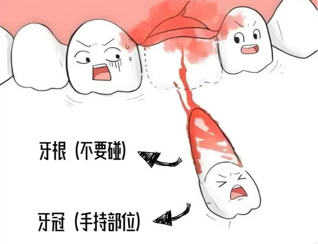 fb70bf52-68c8-4ceb-ab8e-a57d620c8360.png
